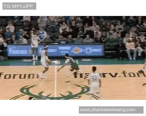 查克解析 - 篮网调查：小波特单场7助生计最高，对阵戏法24+11+7